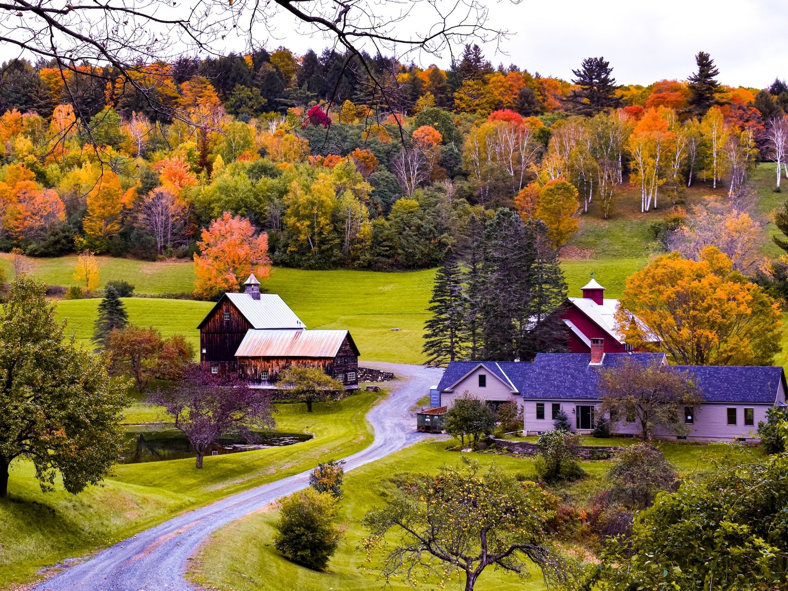 Pomfret, Vermont: The Fall Foliage Town That Banned Influencers